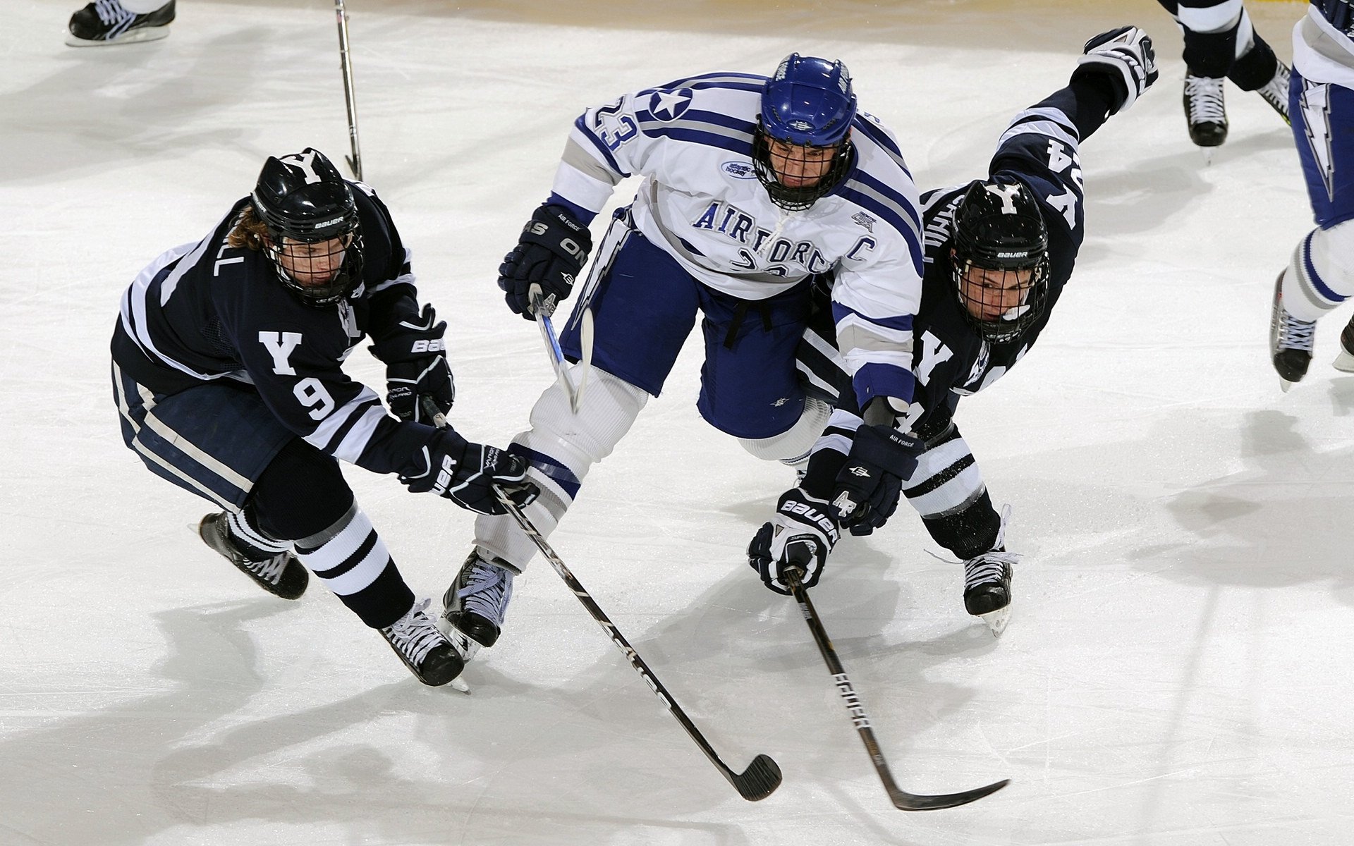 公牛发起“篮球进校园”公益项目，助力青少年成长，公牛篮球队